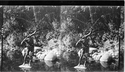 A negrito huntsman with his aboriginal war weapon, the long bow and arrows, Philippine Islands