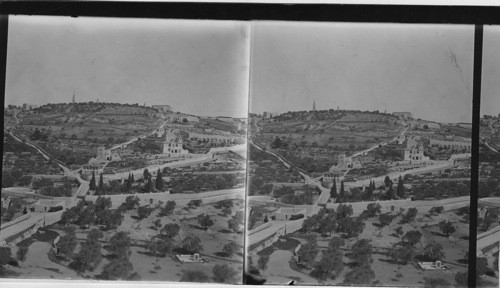 Garden of Gethsamene and Mount of Olives from Eastern Wall. Jerusalem. Palestine