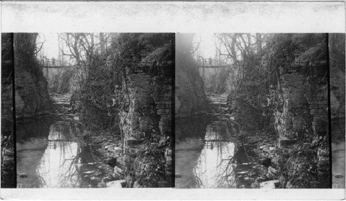 Rock Canyon at the Sag [limestone canyon], looking South, Chicago, Ill