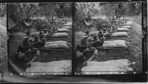 The 14th Infantry Entrenched at Pasig, P.I