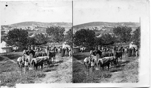 Travelers’ Camp and Hills around Nazareth