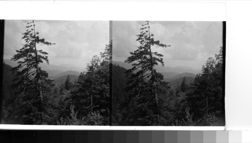 Tennessee--Long view from the road between Newfound Gap on the North Carolina side of the Great Smokies and Clingman's Dome on the Tennessee side. This valley is known as Indian Gap