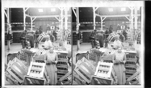 Inspecting and grading milk bottles. Tulsa, Oklahoma [Oklahoma]