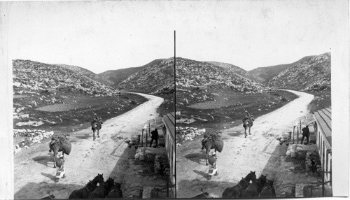 Entering the Judean Hills, Wady Ali, old route, Jaffa to Jerusalem