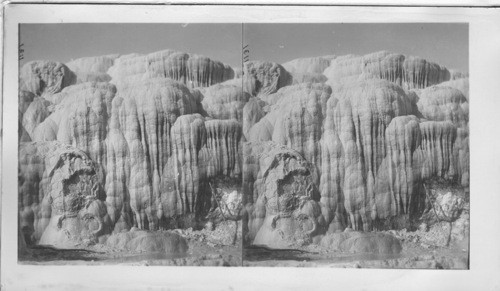 Minerva Terraces, Mammoth Hot Springs