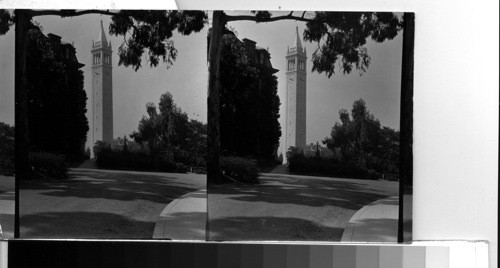 The Campanile. University of California Campus. Berkeley, Calif