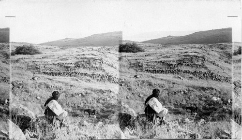 Holy Land. Site of Chorozin and the Sea of Galilee. Palestine. [Inscription from duplicate]