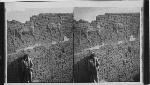 Reliefs of Sacred Bull and Dragon. Mesopotamia. A wall of Ishtar Gate Babylon