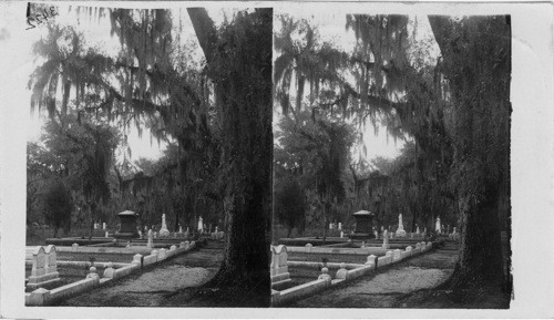 Bonaventure Cemetery, GA. Savannah