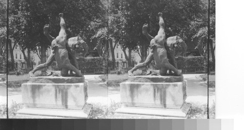 The Wrestlers. Avignon, France