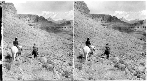 Crossing the Plateau, Arizona