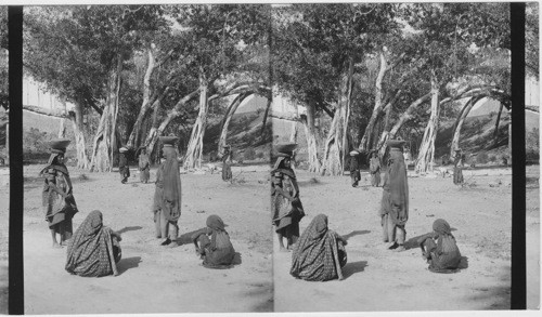 Hindu laborers at foot of Mt. Girvar - showing Banyan Tree. India