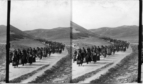 Russian Pilgrims on the way to Jericho, Palestine