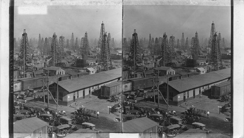 A Forest of Derricks in the Burkburnett Oil Fields. Texas