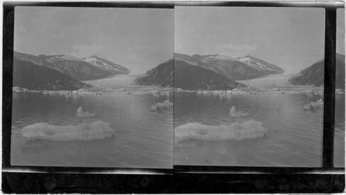 Twin Glacier Lake - 35 miles from Juneau, Alaska