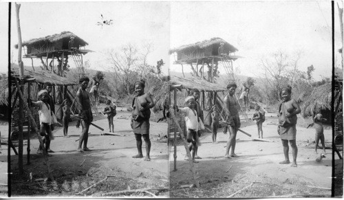 In a hamlet in the Garro Hills, showing one of the native sleeping houses built on top of a tree. India