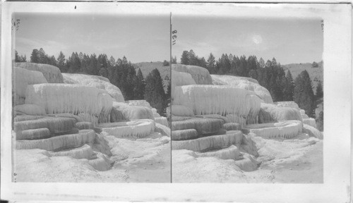 Cleopatra's Terrace in 1902, Mammoth Hot Springs. Yellowstone National Park