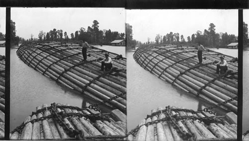 A Great Log Raft, Columbia River, Washington