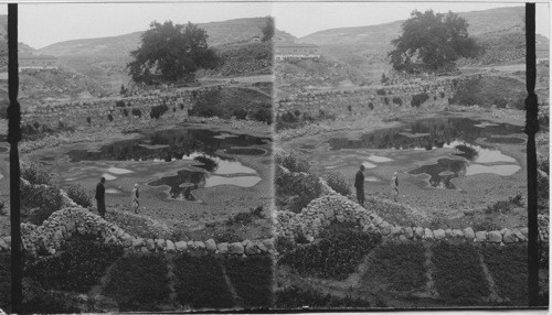 Old Pool of Siloam - Jerusalem. Palestine, Asia