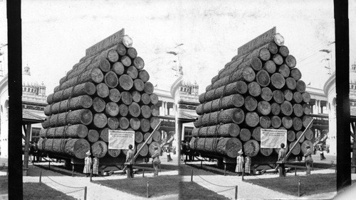 Load of logs, from state of Michigan, Columbian Exposition