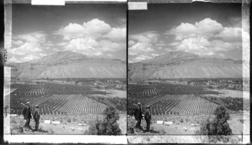 Grand River Valley and its famous peach orchards. N.N.W. Palisade, Colorado