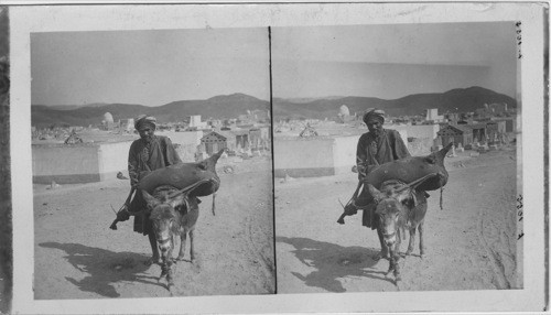 Peddler with his water Skin Bag and Donkey Cairo