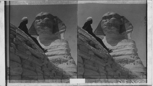 Majestic in the Morning Light, the Inscrutable Sphinx, Guards Khepren’s ...
