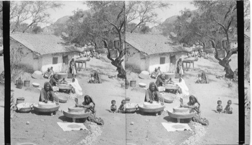 Native women grinding flour. India