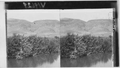 River Kishon, its groves of oleanders and the Carmel range. Palestine