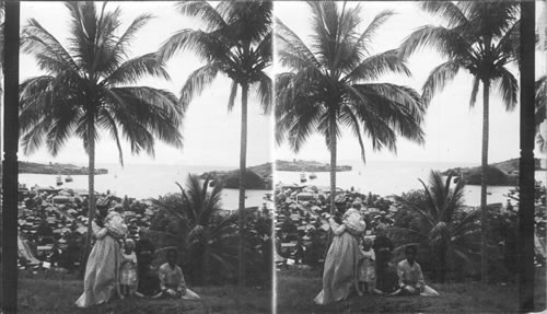 Castries and Its Magnificent Harbor, St. Lucia. B.W.I