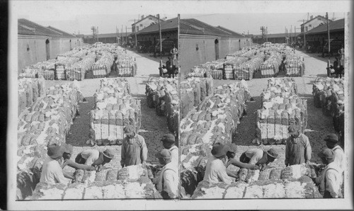 Bales of cotton at Savannah docks just unloaded for truck cars. Georgia