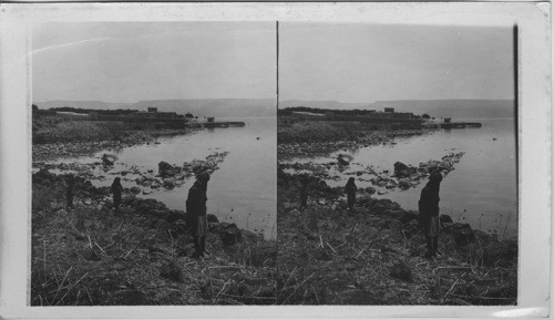 Capernaum on the Sea of Galilee looking northward Palestine