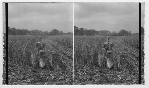 Corn husking machine in field in Illinois