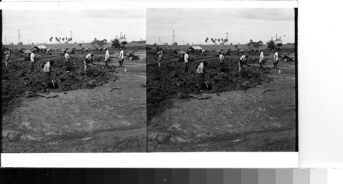 British West Indies - Island of Trinidad: famous pitch lake en [in] the southern end of the island. Oil wells in the background and the pitch-refining plant to the right