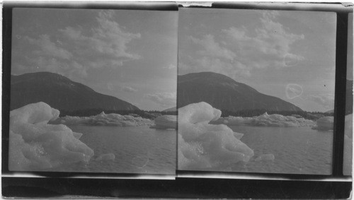 Icebergs in Twin Glacier Lake - 35 miles from Juneau, Alaska