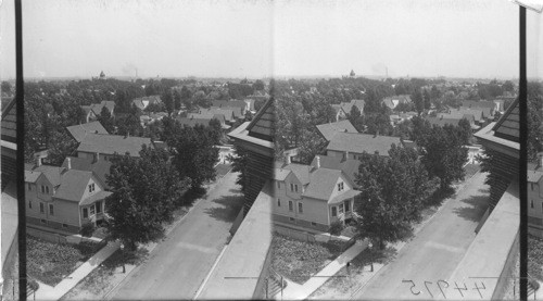 Houses Around Van Vlissingen Public School, Chicago