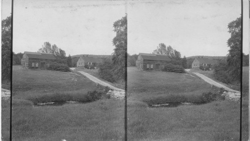 An Abandoned Farm in N. H