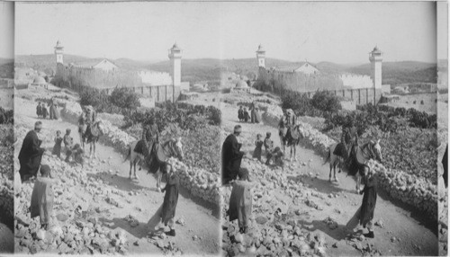 Mosque Machpelah, the burial - place of Abraham, Isaac and Jacob, Hebron - Palestine