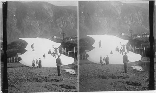 Juneau Iceberg Group. Alaska