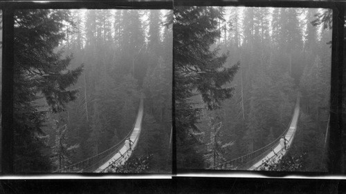 Suspension Bridge, Capilino Canyon