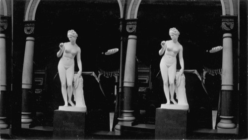 Venus, (Thorvaldsen's ?) Russian Department, Liberal Arts Building, World's Columbian Exposition. [Caption below Statue reads "Venus, copy of Thorvalksen's"]