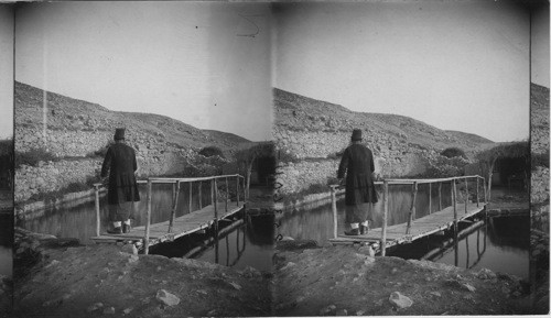 Elishas Fountain, Palestine Jericho