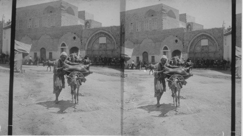 The sugee, or water carrier. Turkey