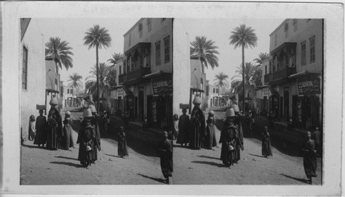 Characteristic Street Scene in Modern City of Luxor