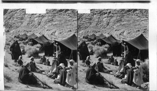 A Bedouin Camp on the Israelites old ground at base of Mount Sinai, Egypt