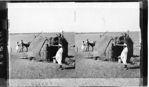 North from near Khartum across to Omdurman. Egypt