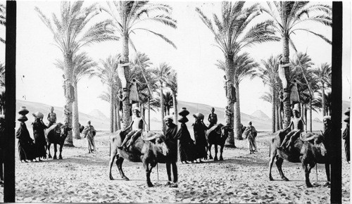 Native Life on the Oasis of Sakkara. Egypt