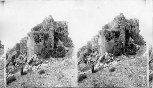 Belfort ruins. Syria