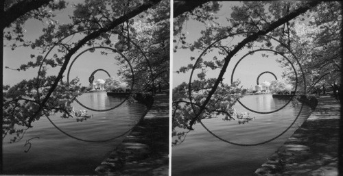 Jefferson Memorial - Cherry Blossom Time. Wash., D.C