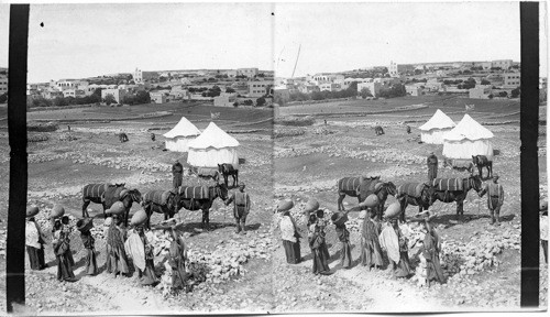 Our Camp of Ramah, the home of Samuel. Palestine